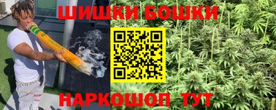 стаф Краснодар