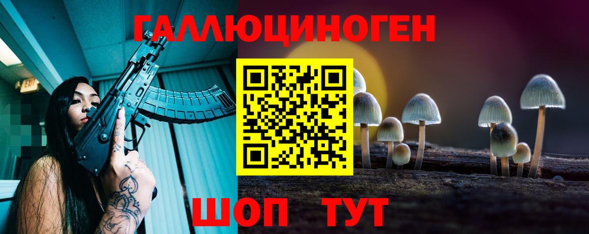Псилоцибиновые грибы Psilocybine cubensis  Вход с VPN  Урус-Мартан  Галлюциногенные грибы Magic Shrooms 